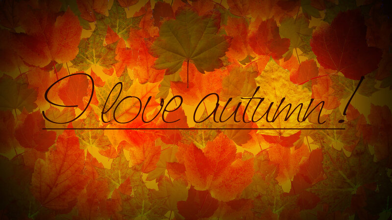 Autumn Leaves Background — Orange