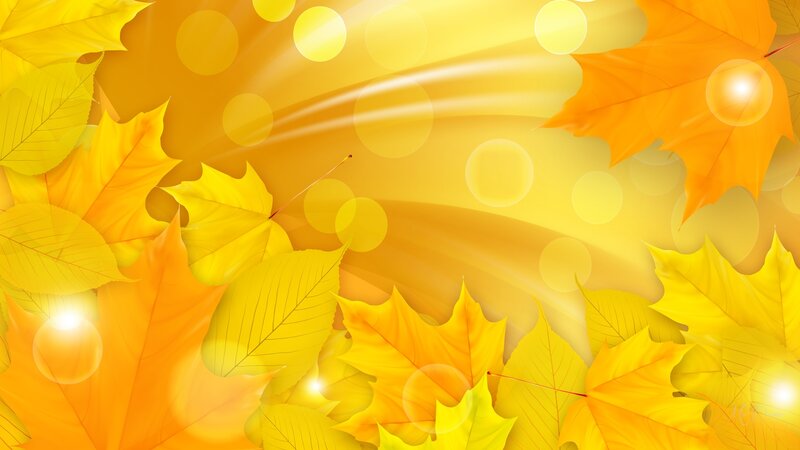 Autumn Leaves Background — Yellow