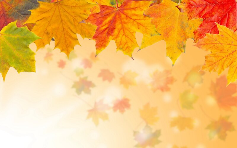 Autumn Leaves Border — Yellow