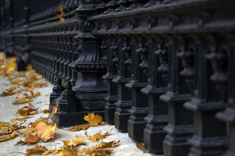 Autumn leaves by a fence