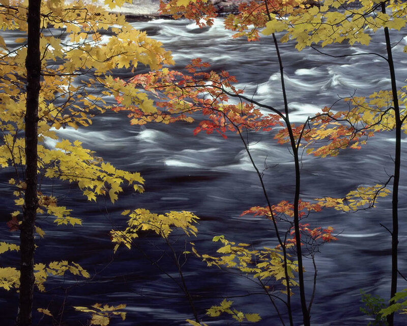 Autumn leaves by a rushing river