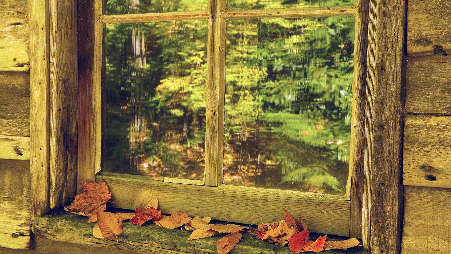 Autumn leaves by a rustic window