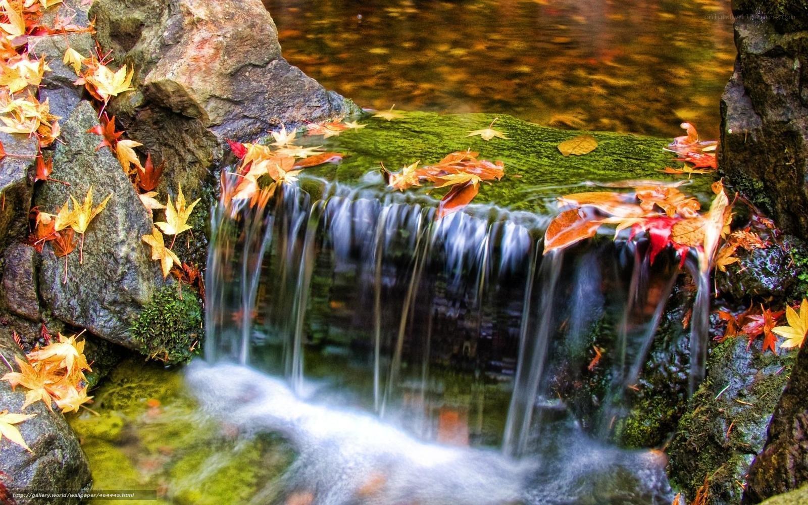 Autumn leaves by a small waterfall