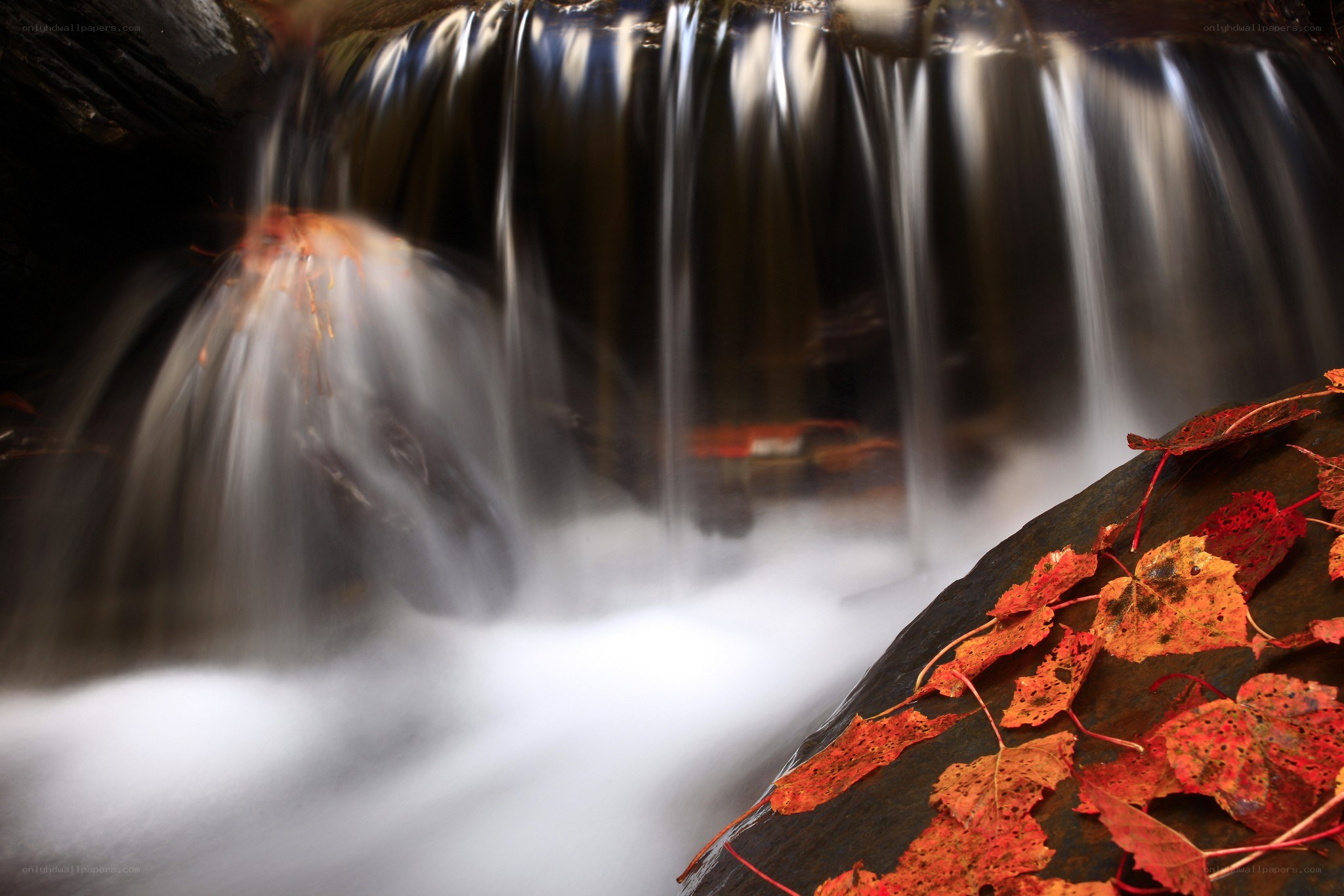 Autumn leaves by a waterfall