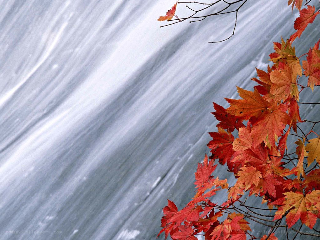 Autumn leaves by a waterfall