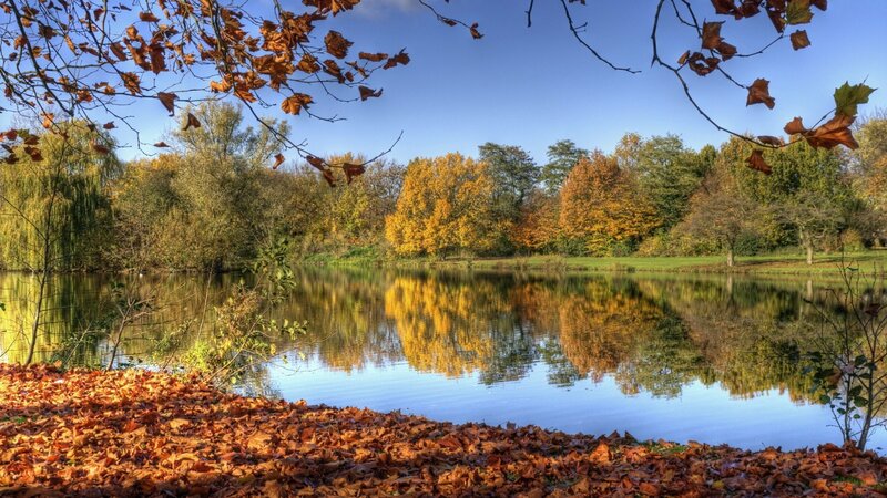 Autumn Leaves by Lake — Orange, Serene, Photograph, Trees, Sky