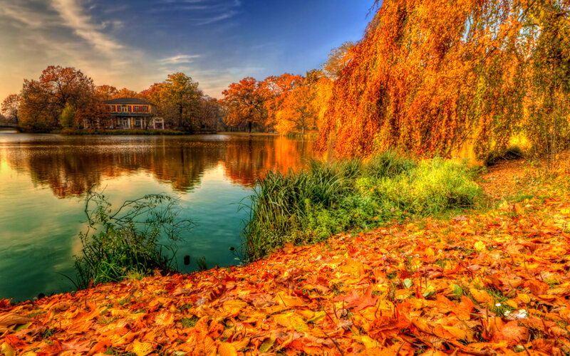 Autumn Leaves by Lake — Orange, Serene