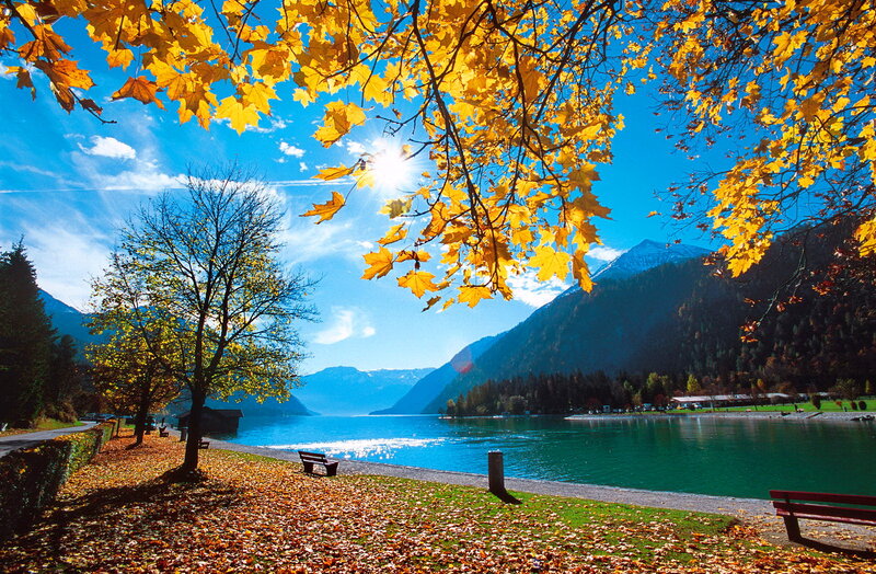 Autumn Leaves by Lake — Yellow