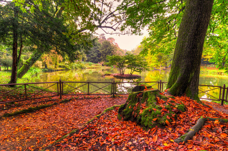 Autumn Leaves by Pond — Red