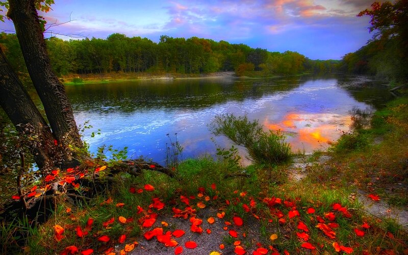 Autumn Leaves by River — Red