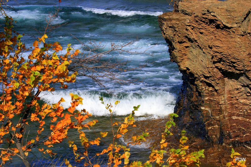 Autumn Leaves by River