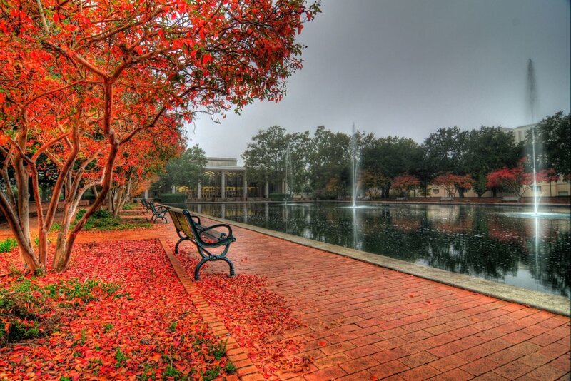 Autumn leaves by the fountain