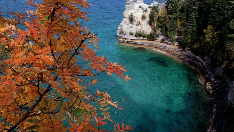 autumn leaves by the lake