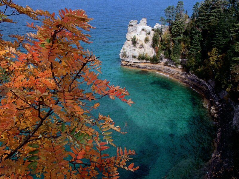 Autumn leaves by the lake