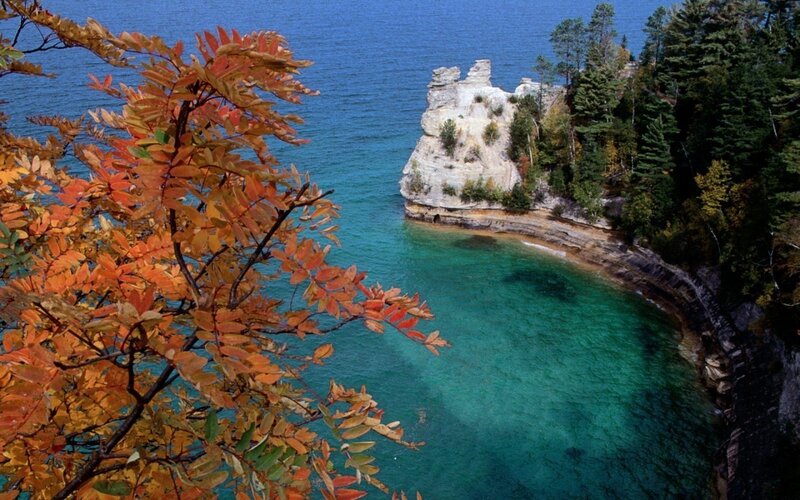Autumn leaves by the lake