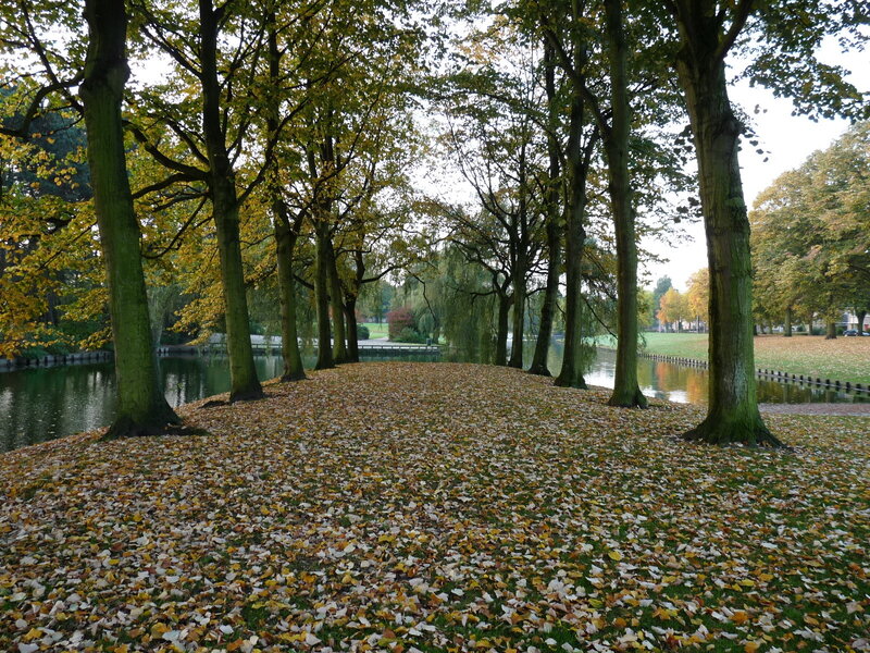 Autumn leaves by the pond