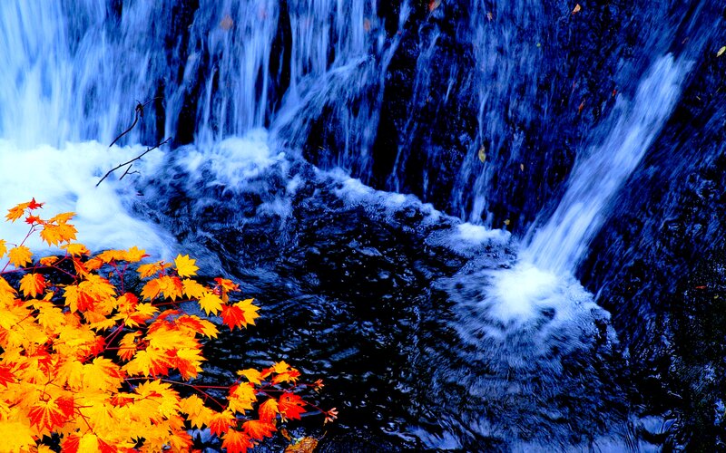 Autumn Leaves by Waterfall — Blue