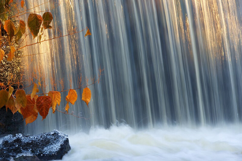 Autumn Leaves by Waterfall — Orange