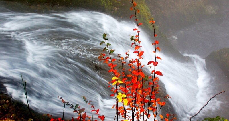Autumn Leaves by Waterfall — Red, Serene