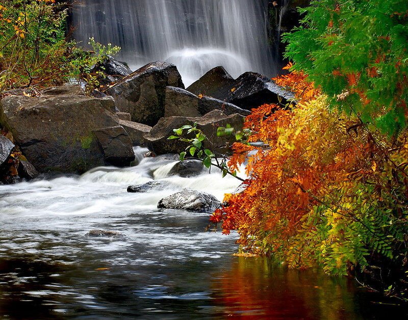 Autumn Leaves by Waterfall