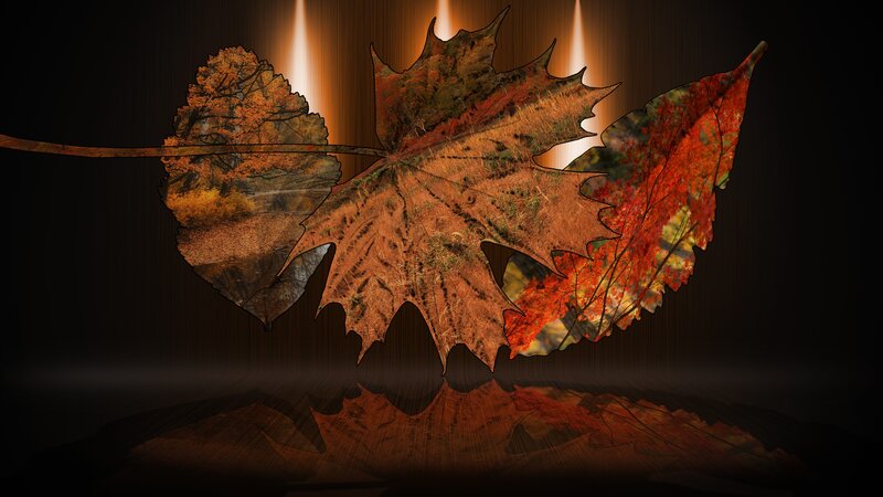 Autumn Leaves Collage — Brown