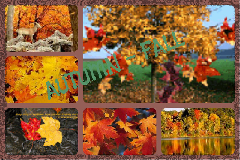 Autumn Leaves Collage — Orange, Serene