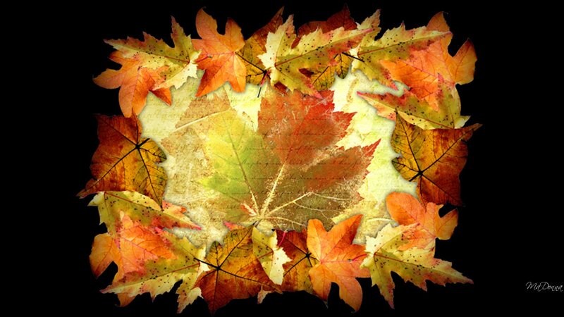 Autumn Leaves Collage — Orange