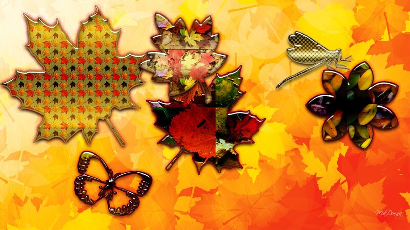 Autumn Leaves Collage — Orange, Vibrant