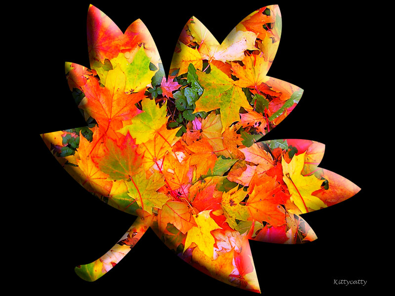 Autumn Leaves Collage — Red