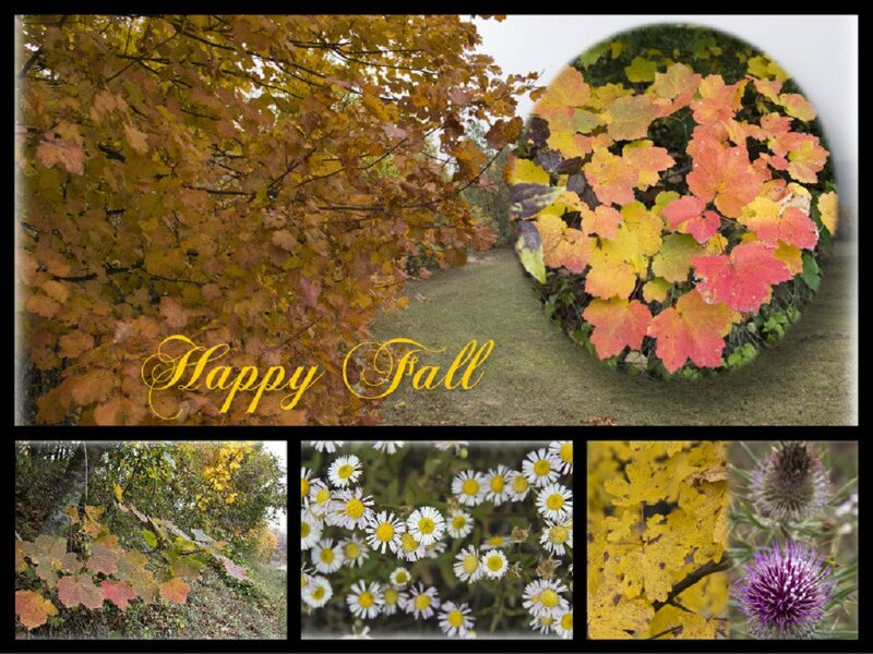 Autumn Leaves Collage — Yellow