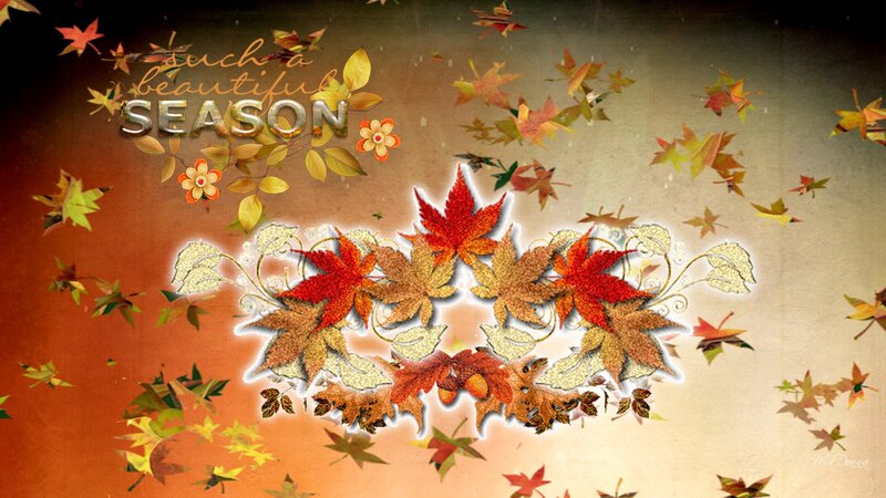 Autumn Leaves Design