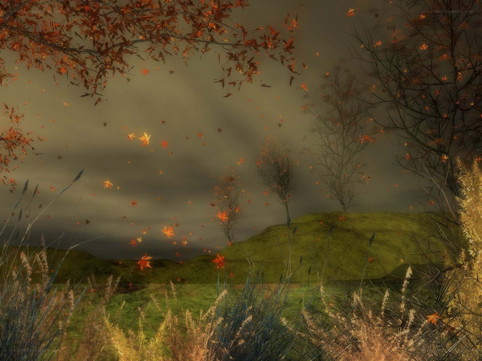 Autumn leaves falling