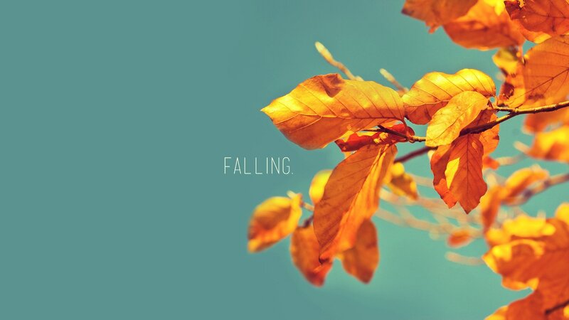 autumn leaves falling