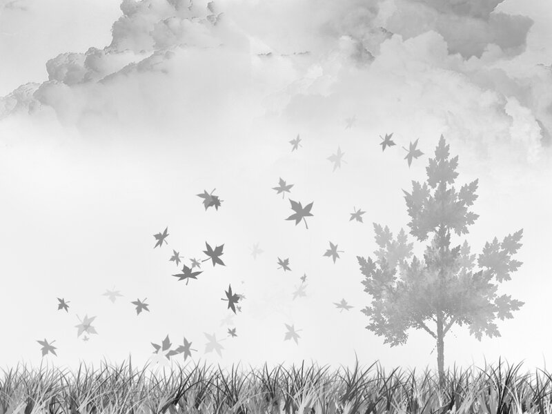 Autumn leaves falling