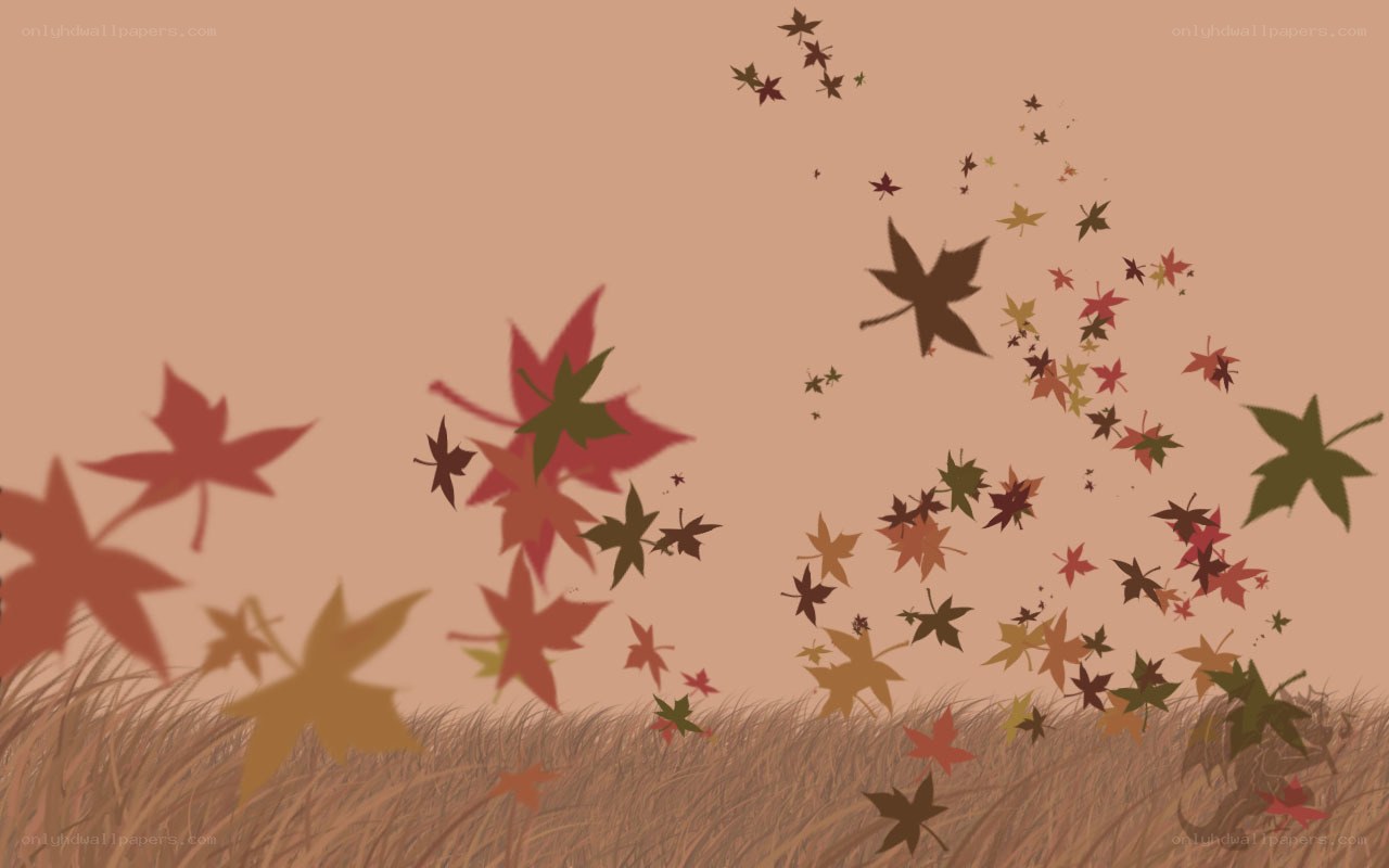 Autumn leaves falling