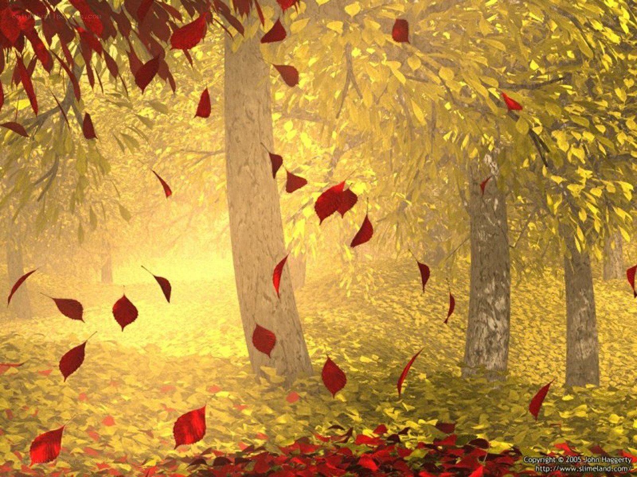 Autumn leaves falling in forest