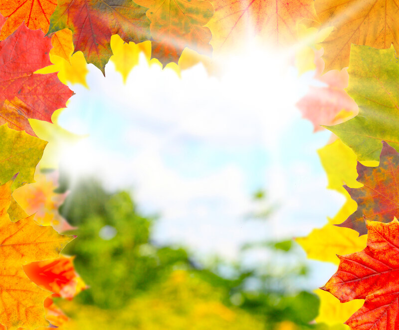 Autumn Leaves Frame — Red