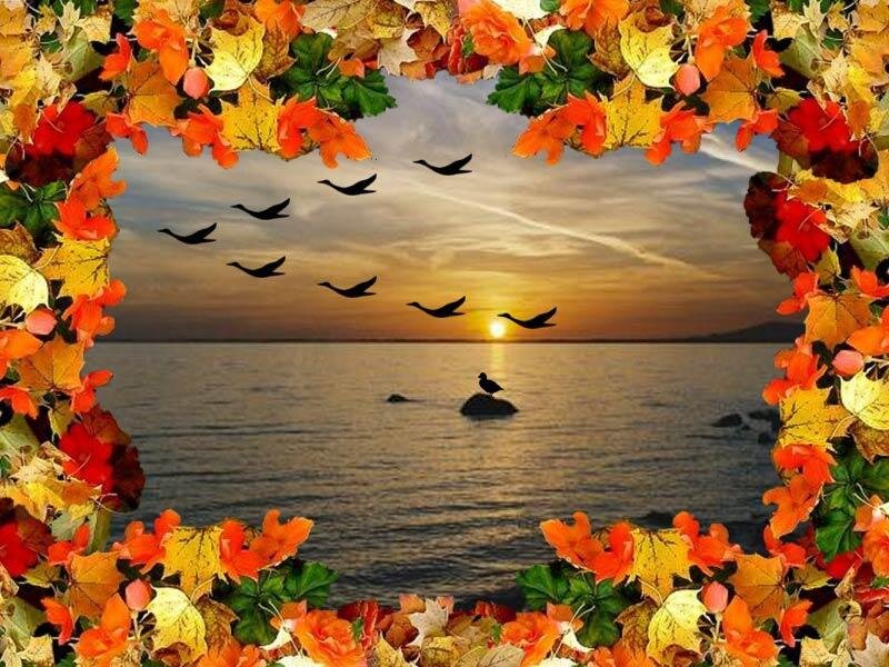 Autumn leaves frame sunset scene