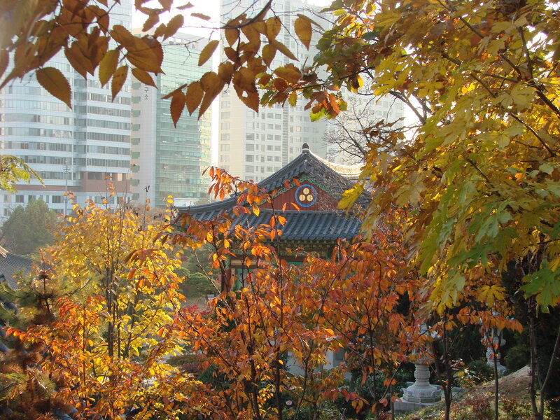 Autumn leaves frame traditional temple