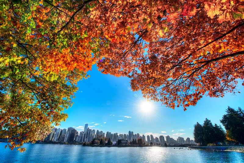 Autumn Leaves Framing City