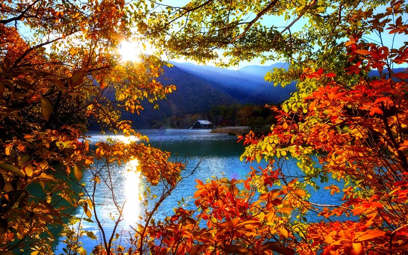 Autumn Leaves Framing Lake