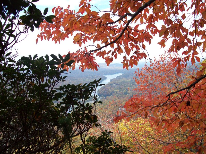 Autumn Leaves Framing River