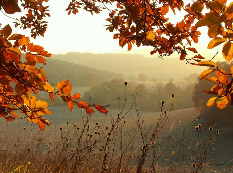 Autumn Leaves Framing Valley