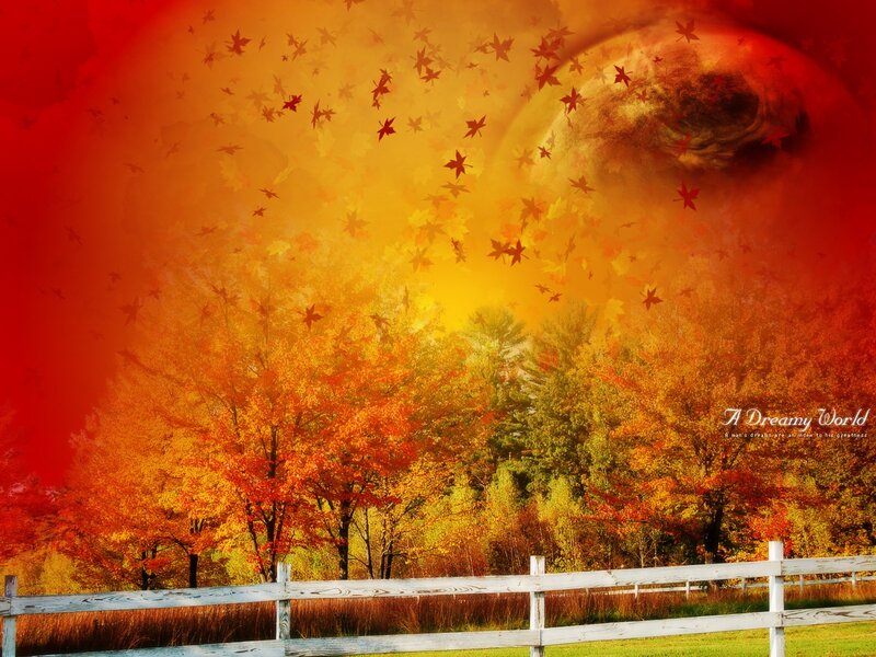 Autumn leaves in a dreamy world