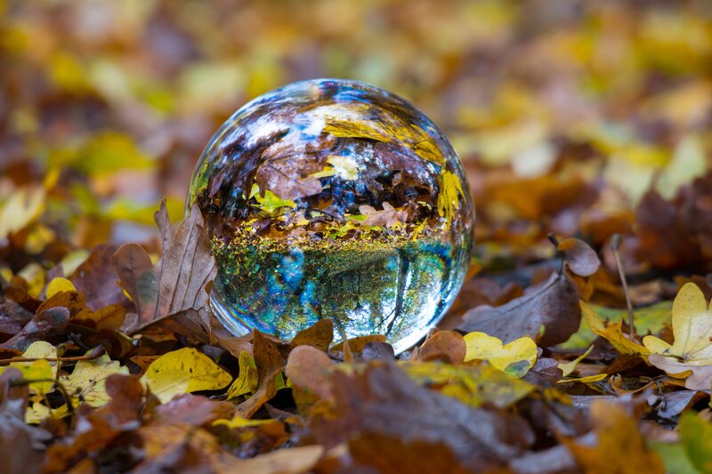 Autumn leaves in a glass sphere