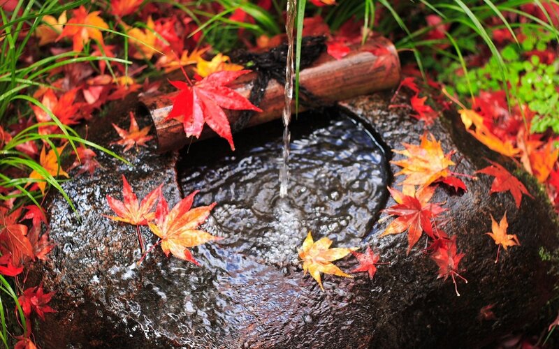 Autumn leaves in a stone basin