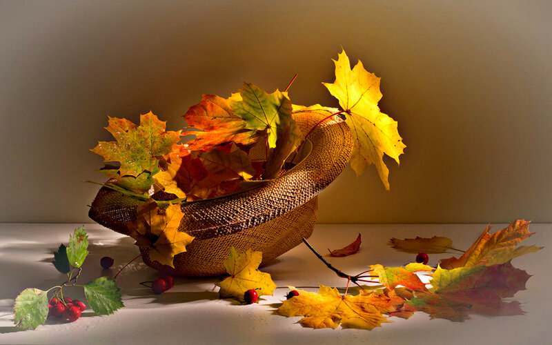 Autumn Leaves in Basket