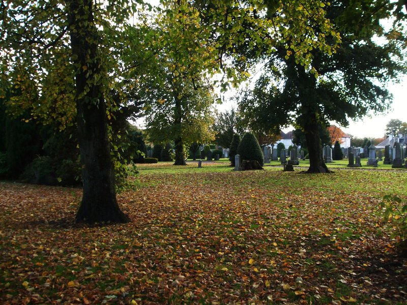 Autumn Leaves in Cemetery — Green
