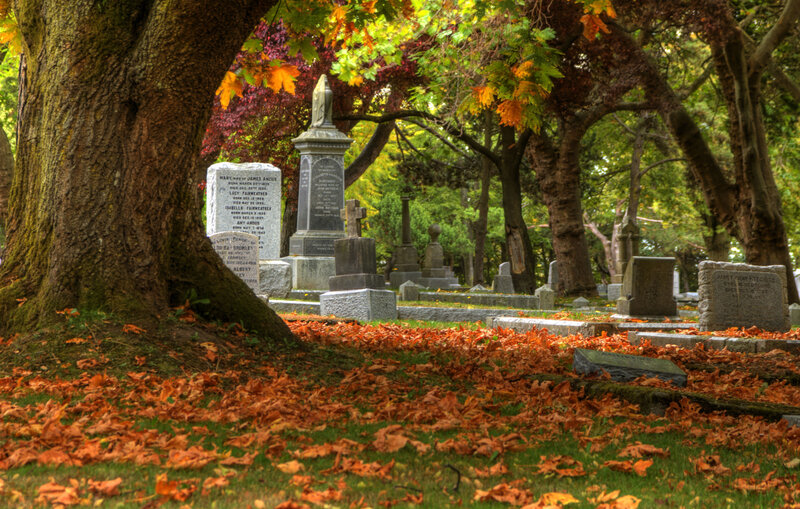 Autumn Leaves in Cemetery — Orange, Serene