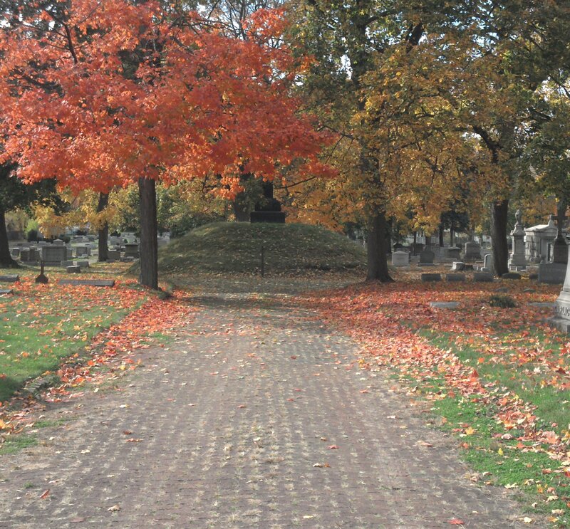 Autumn Leaves in Cemetery — Orange
